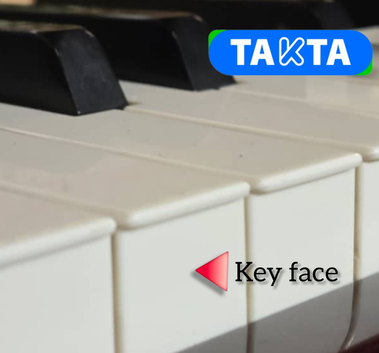 روکش کلاویه پیانو (key face)